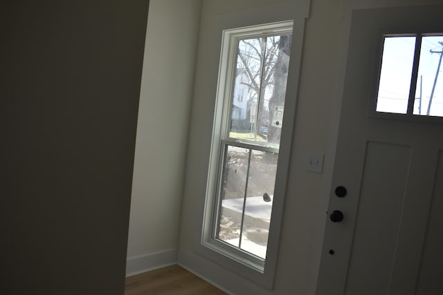 entryway with hardwood / wood-style floors