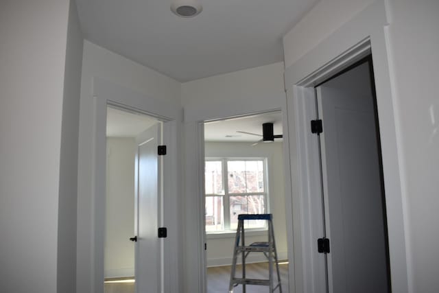 corridor with hardwood / wood-style flooring