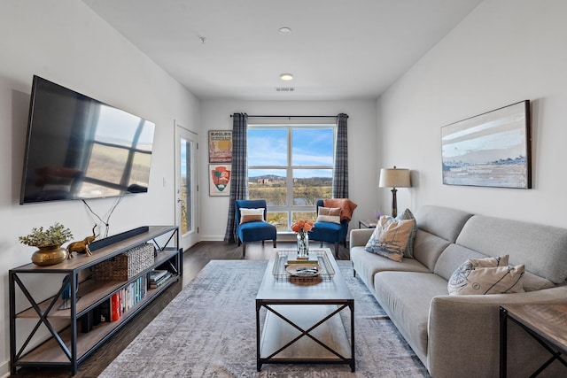 living room featuring dark hardwood / wood-style floors