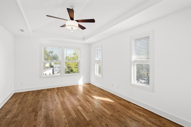 spare room featuring wood-type flooring, a raised ceiling, and plenty of natural light