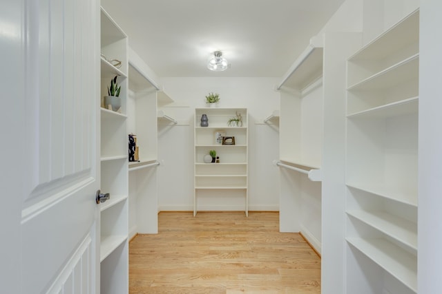 walk in closet with light hardwood / wood-style flooring