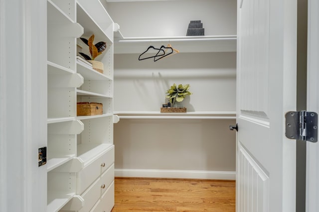 walk in closet featuring light wood-type flooring