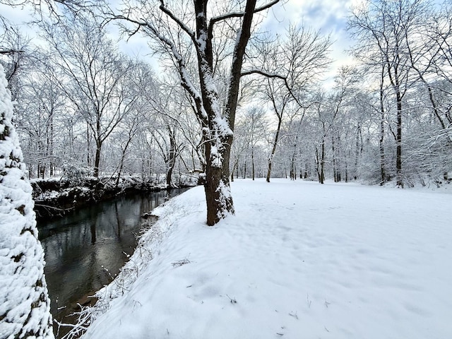 view of snowy yard