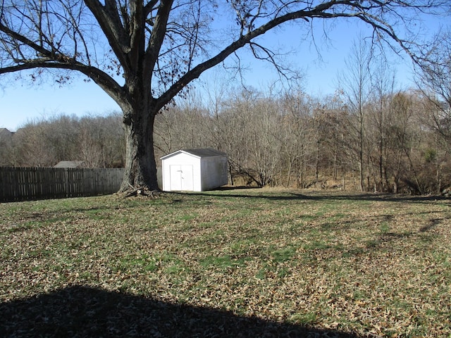 view of yard featuring a storage shed