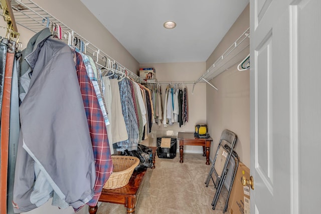 spacious closet featuring carpet floors