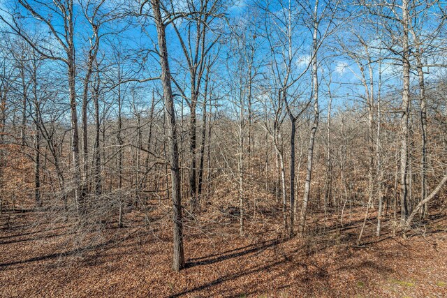 view of local wilderness