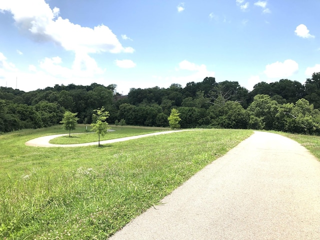 view of community with a yard