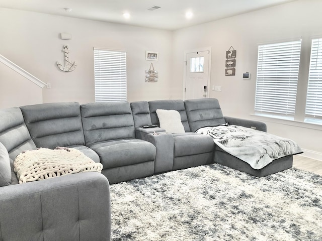 living room with wood-type flooring and plenty of natural light