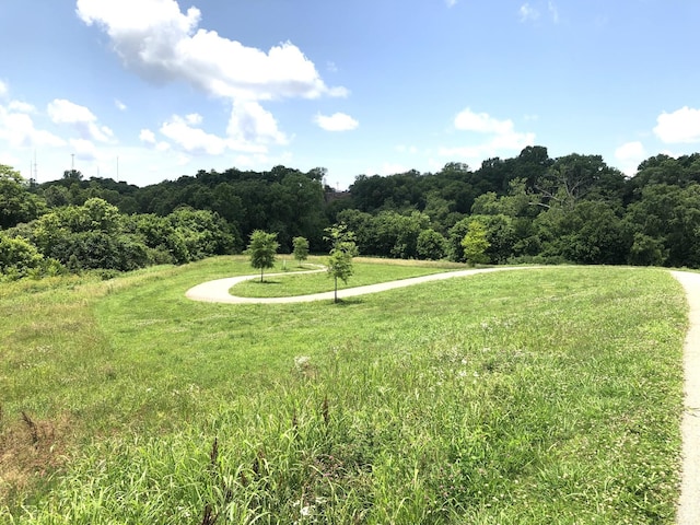 637 Taylor Bend Rd, Columbia, TN 38401 - photo 28