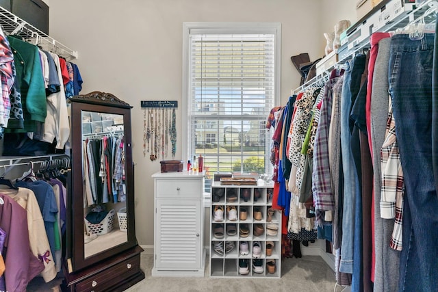 walk in closet featuring carpet flooring