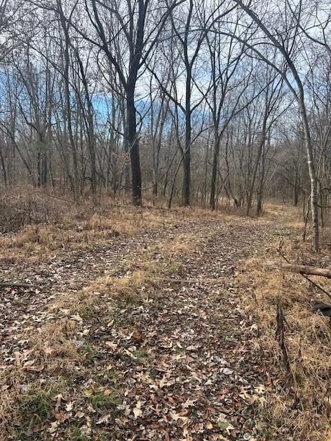 0 Mayo Rd, Adams TN, 37010 land for sale