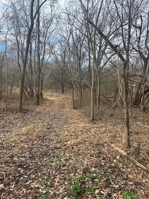 0 Mayo Rd, Adams, TN 37010 - photo 2