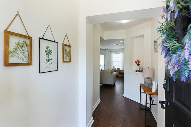 hallway featuring dark hardwood / wood-style floors