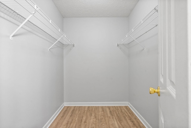 walk in closet with hardwood / wood-style floors