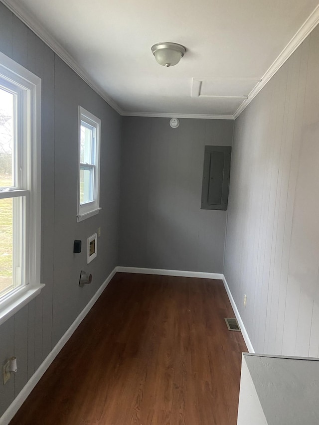 spare room with crown molding, dark wood-type flooring, and electric panel