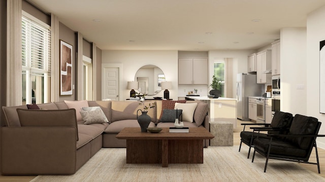 living room featuring light hardwood / wood-style flooring