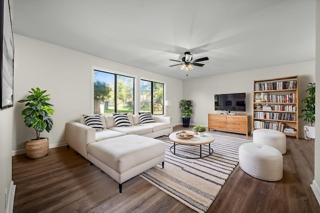 living room with ceiling fan and hardwood / wood-style floors