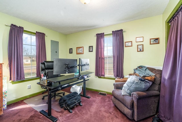 carpeted home office featuring electric panel and a wealth of natural light