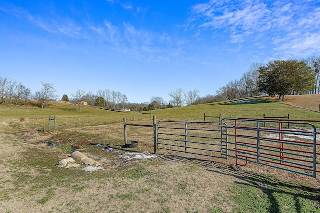 view of yard featuring a rural view