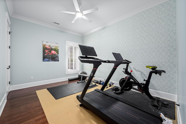 workout room with ornamental molding, dark wood-type flooring, and ceiling fan