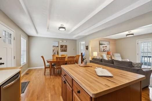 kitchen featuring a wealth of natural light, dishwasher, a raised ceiling, and light wood-type flooring