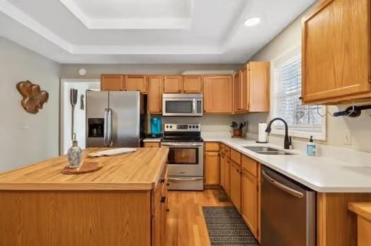 kitchen featuring a center island, wooden counters, stainless steel appliances, sink, and a raised ceiling