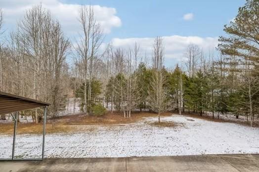 view of snowy yard