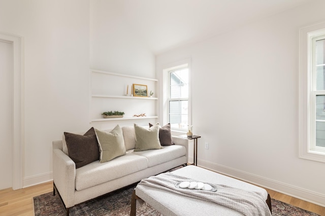 living room featuring hardwood / wood-style floors