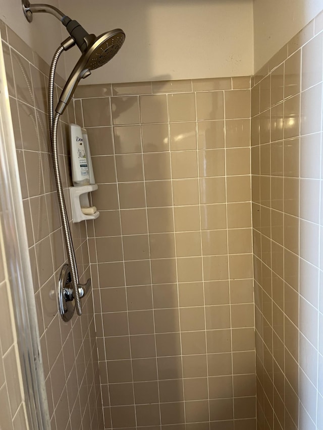 interior details featuring tiled shower