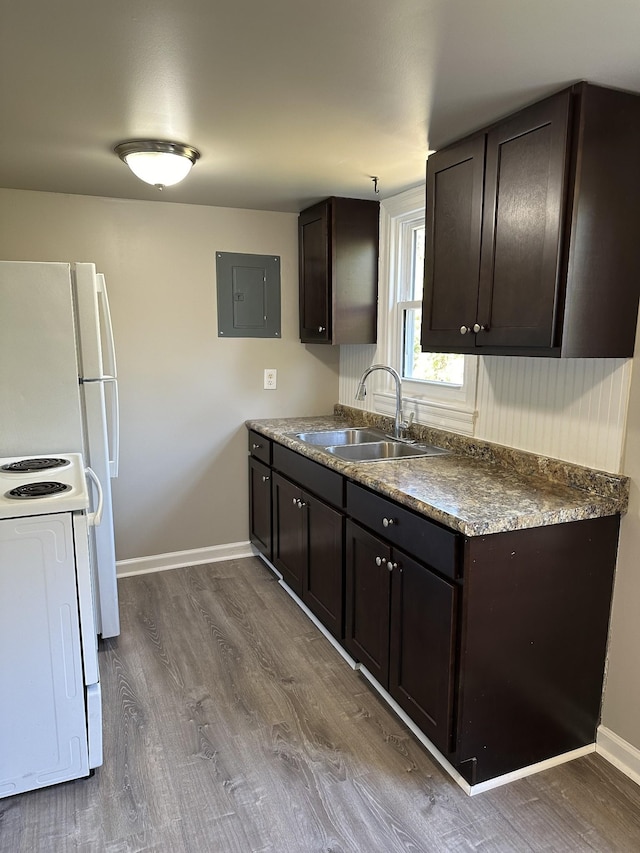 kitchen featuring white appliances, wood-type flooring, electric panel, sink, and dark brown cabinets