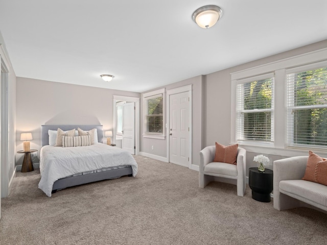 bedroom with carpet floors