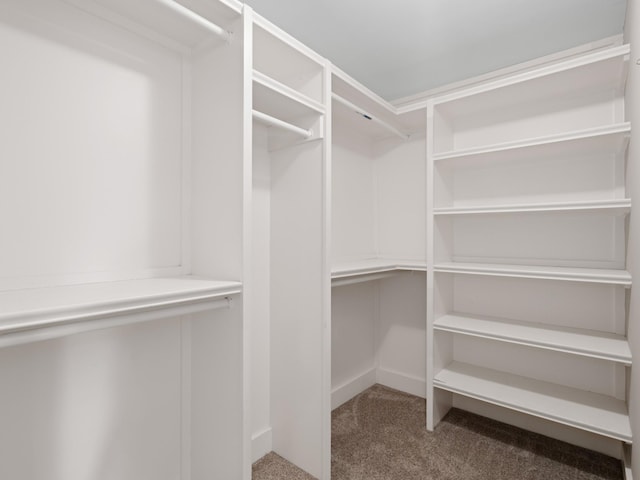 spacious closet featuring carpet