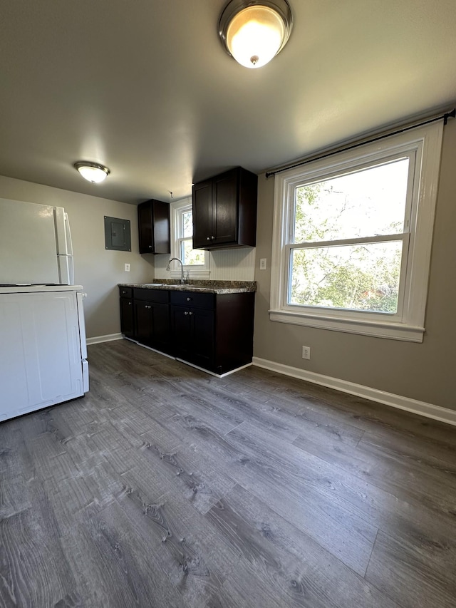 kitchen with sink, hardwood / wood-style flooring, white fridge, and dark brown cabinets