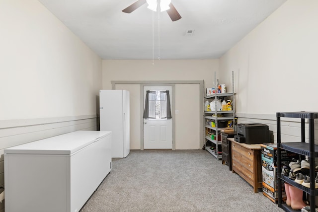 clothes washing area featuring light carpet and ceiling fan