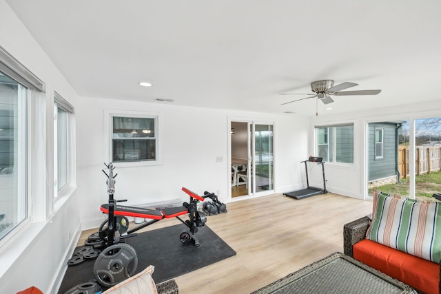 workout area featuring ceiling fan and light hardwood / wood-style flooring