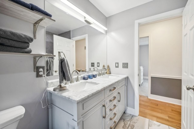 bathroom with toilet and vanity