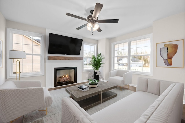 living room with ceiling fan and wood-type flooring