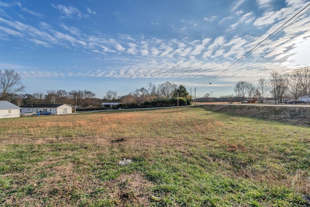 view of yard featuring a rural view