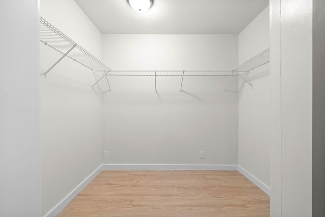 spacious closet with light wood-type flooring