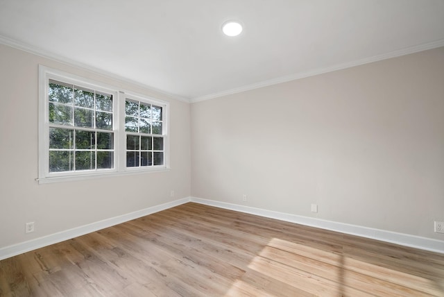 spare room featuring light wood-type flooring and crown molding