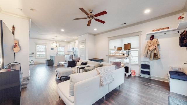 living room with sink, ornamental molding, ceiling fan, and dark hardwood / wood-style floors