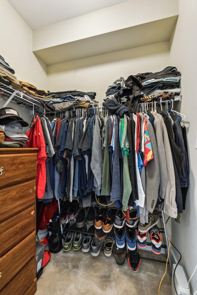 view of spacious closet