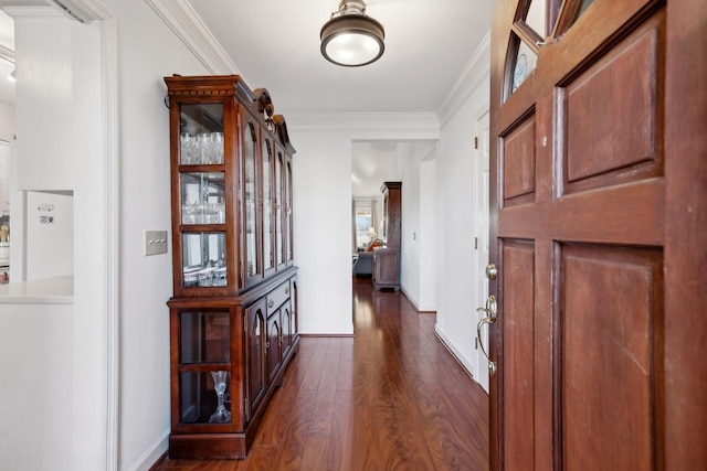 corridor featuring crown molding and dark hardwood / wood-style flooring