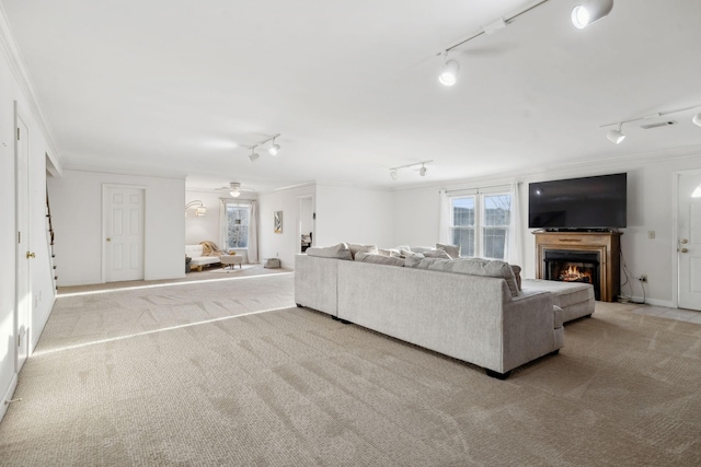 carpeted living room featuring ornamental molding and rail lighting