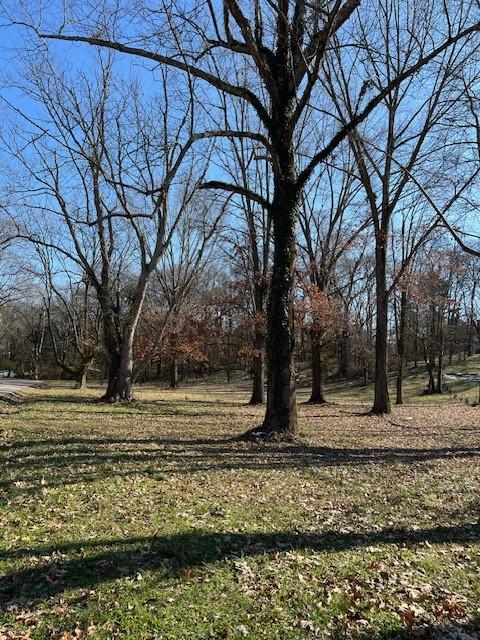 0 Cayce Valley Dr, Columbia TN, 38401 land for sale