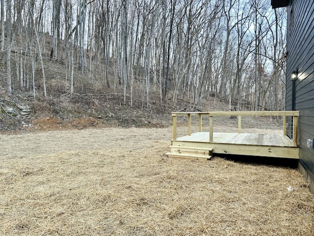 view of yard featuring a wooden deck