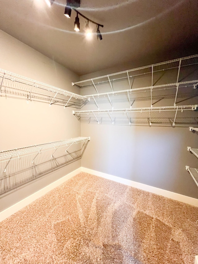 walk in closet with carpet