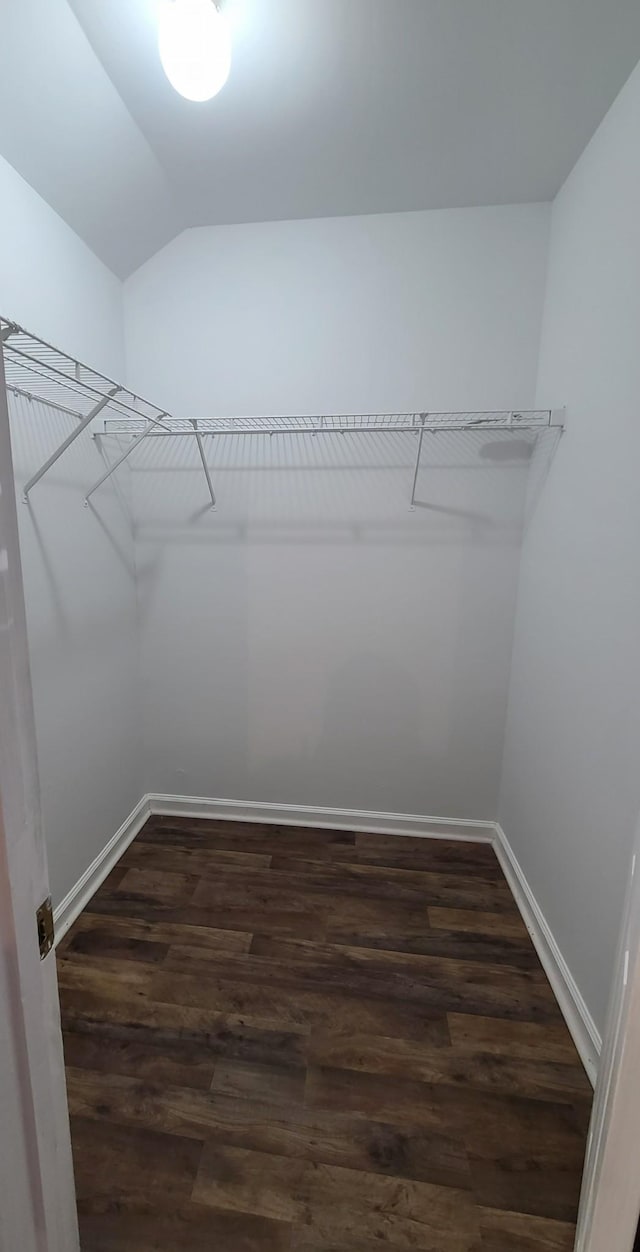 spacious closet featuring dark wood-type flooring and vaulted ceiling