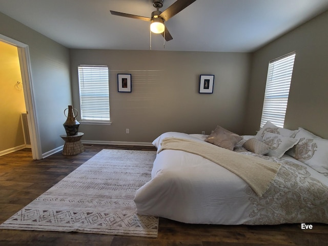 bedroom featuring ceiling fan, dark hardwood / wood-style flooring, and multiple windows