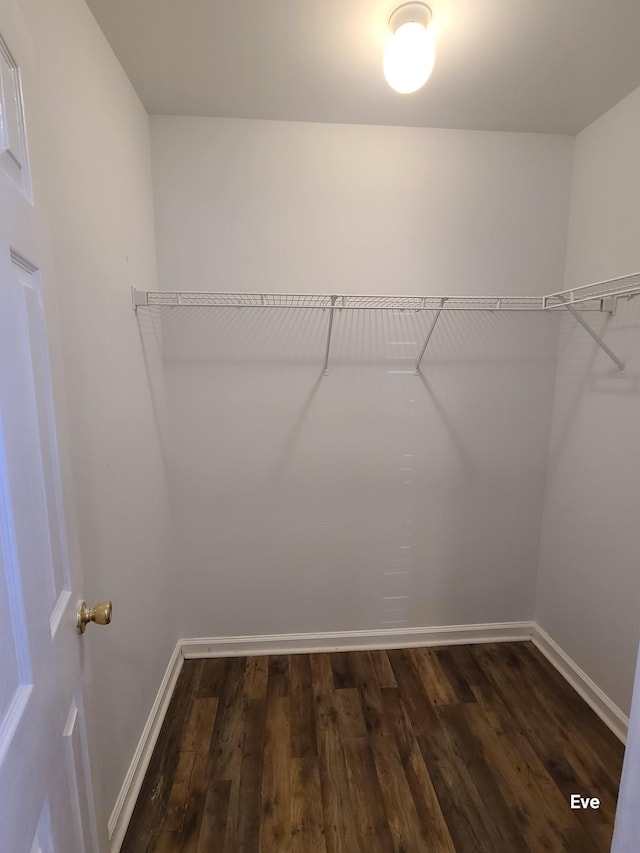 walk in closet featuring dark wood-type flooring